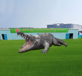 S4-539 Oppblåsbar krokodille
